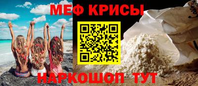 крисы Можга
