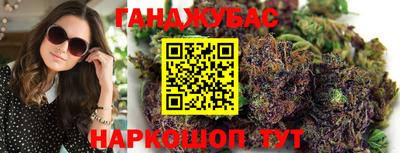 крисы Можга
