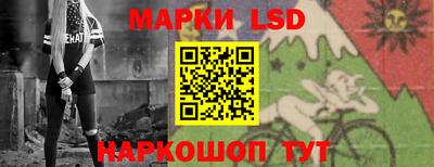 крисы Можга