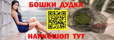 крисы Можга