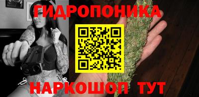 крисы Можга