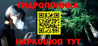 крисы Можга