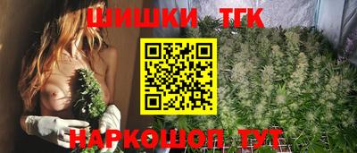 крисы Можга