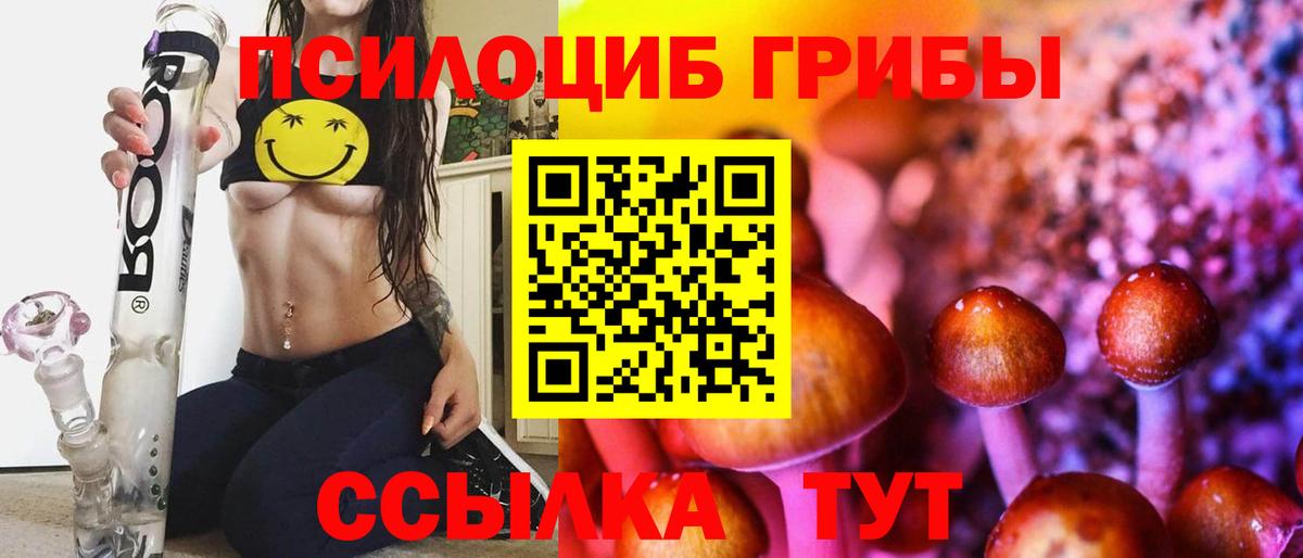 Галлюциногенные грибы Magic Shrooms Тамбов